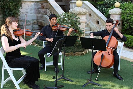 String Quartets, Trios & Duos for Hire Sydney